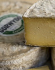Close up of a cut and a whole Gorwydd Caerphilly cheese.