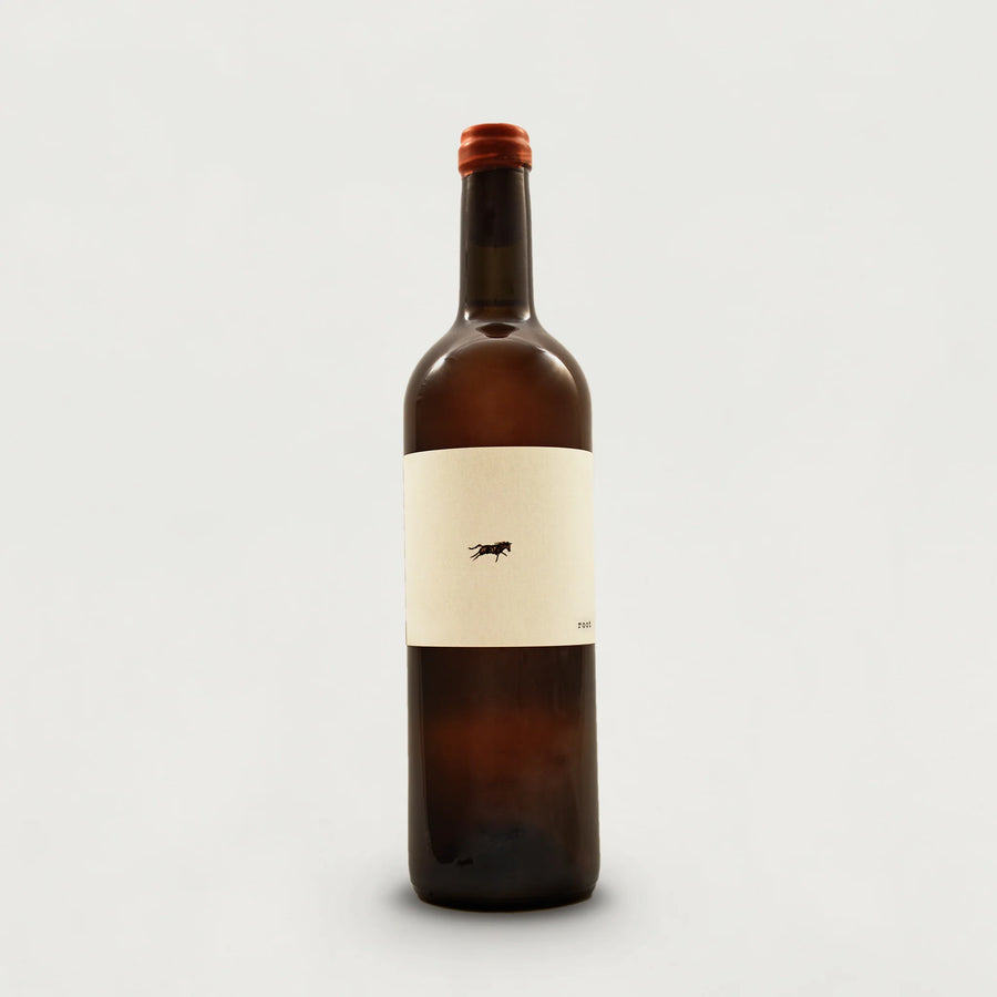 A large brown glass bottle of Find & Foster Root cider.
