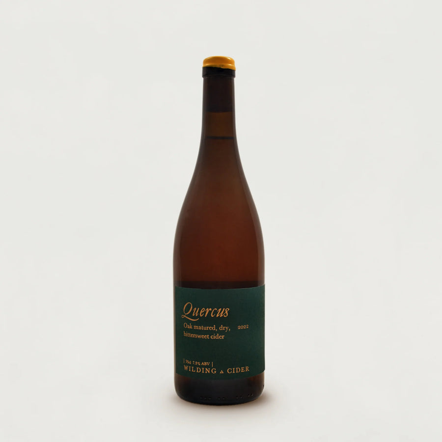 Bottle of Quercus cider with a green label on a white background.