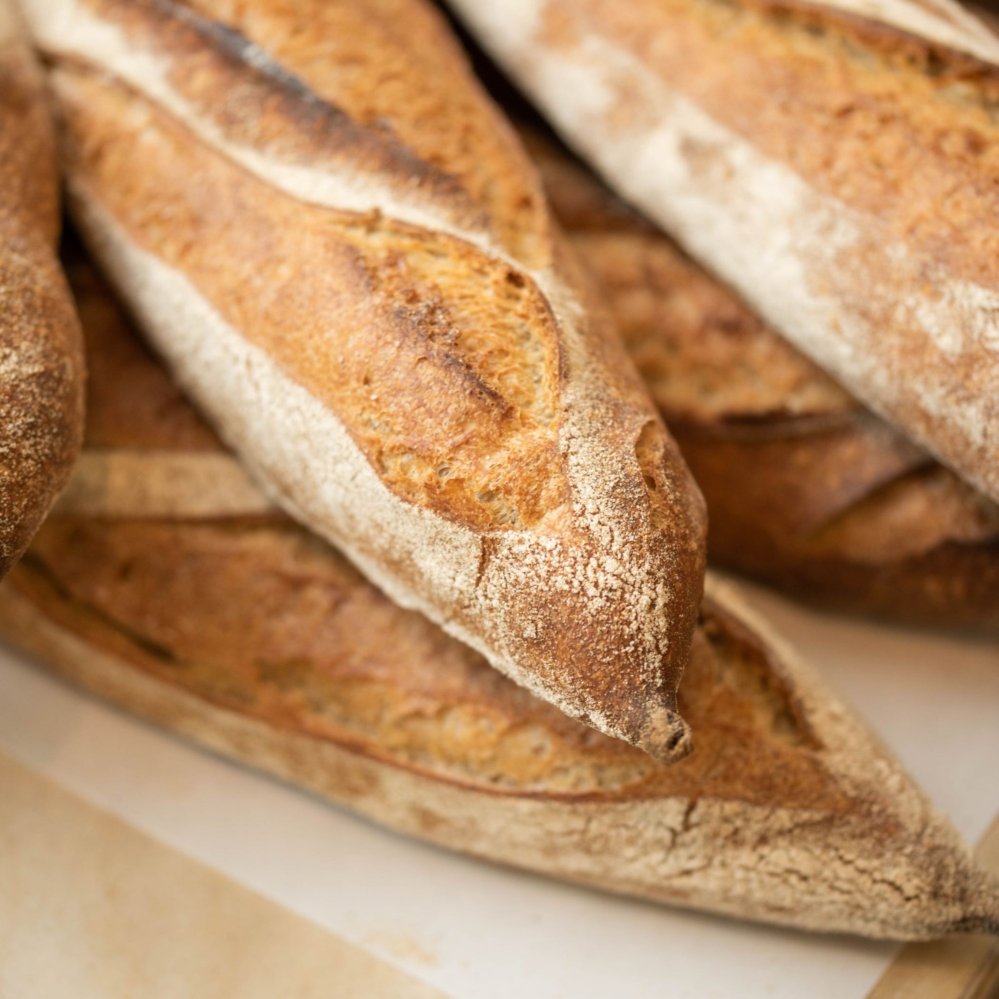 a close up of crusty baguettes on a table top.