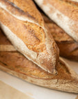 a close up of crusty baguettes on a table top.