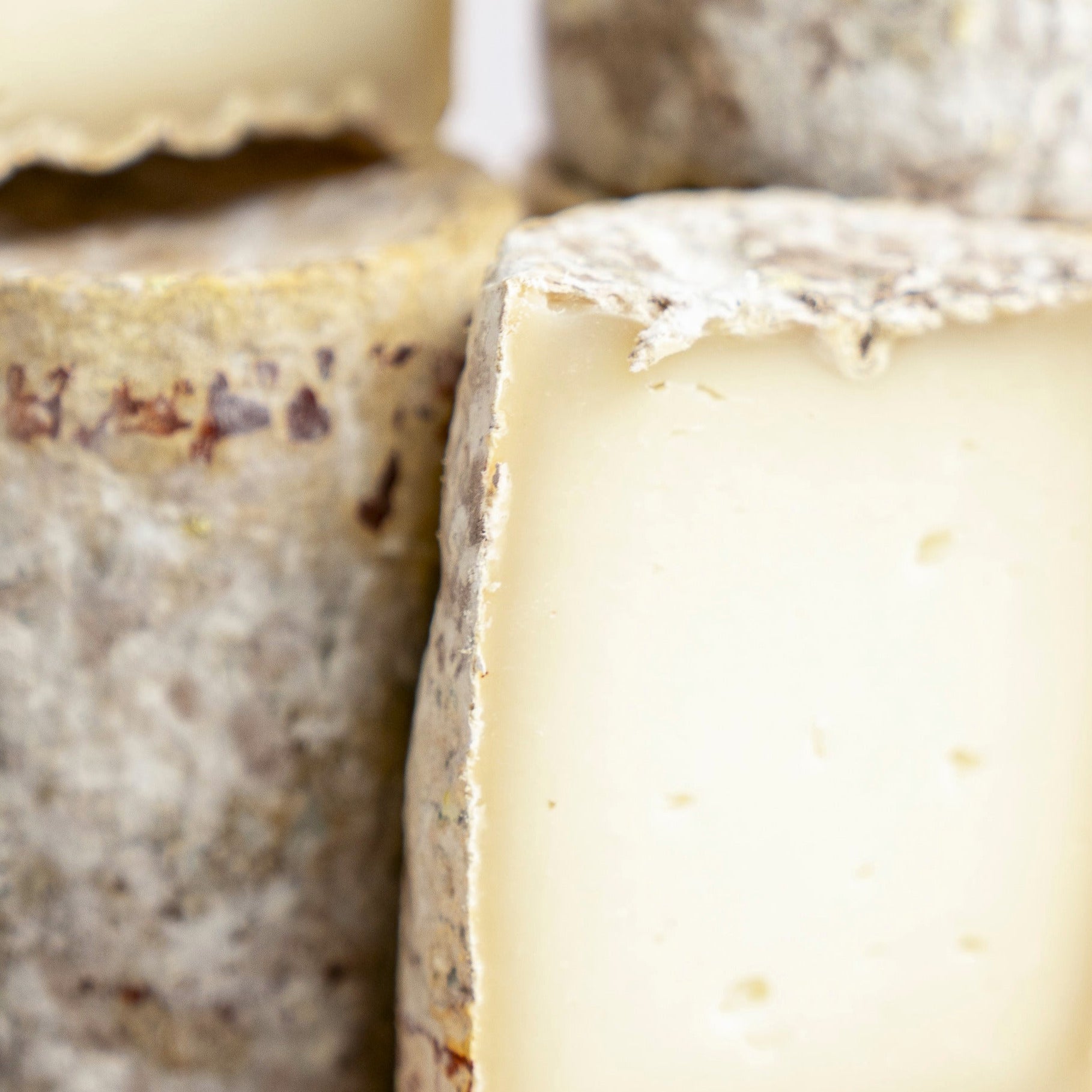 Close up of the tight white paste and mottled rind of barriquet goat cheese.