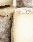 Close up of the tight white paste and mottled rind of barriquet goat cheese.