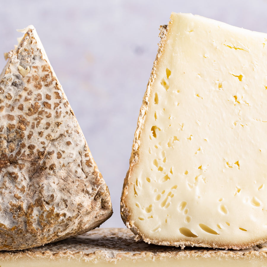 Close up of pecorino ewe's milk cheese.