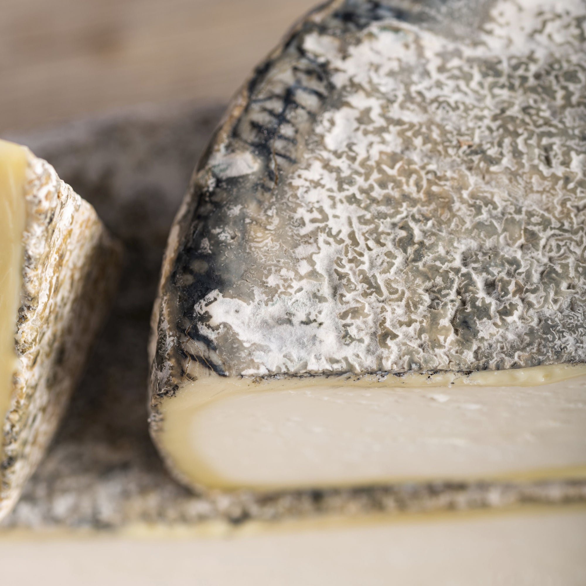 The white paste and ashed rind of Tomme de Chambrouze goat's milk cheese.