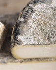 The white paste and ashed rind of Tomme de Chambrouze goat's milk cheese.