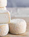 Close up of a cut face and a whole Crottin de Chavignol goat's cheese.