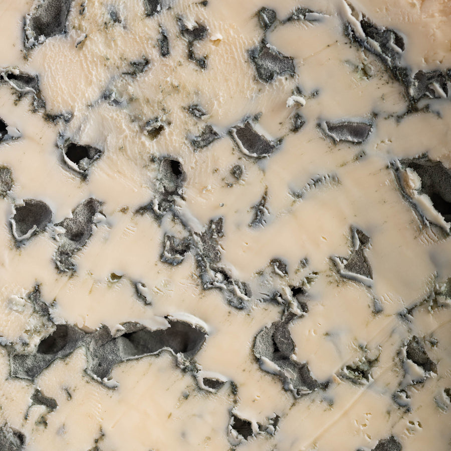 Detailed shot of Fourme d'Ambert cheese showing the rich blue veining and creamy white paste.