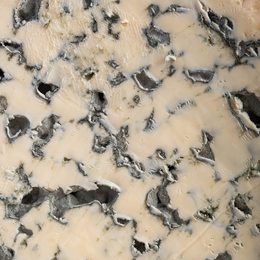Detailed shot of Fourme d'Ambert cheese showing the rich blue veining and creamy white paste.