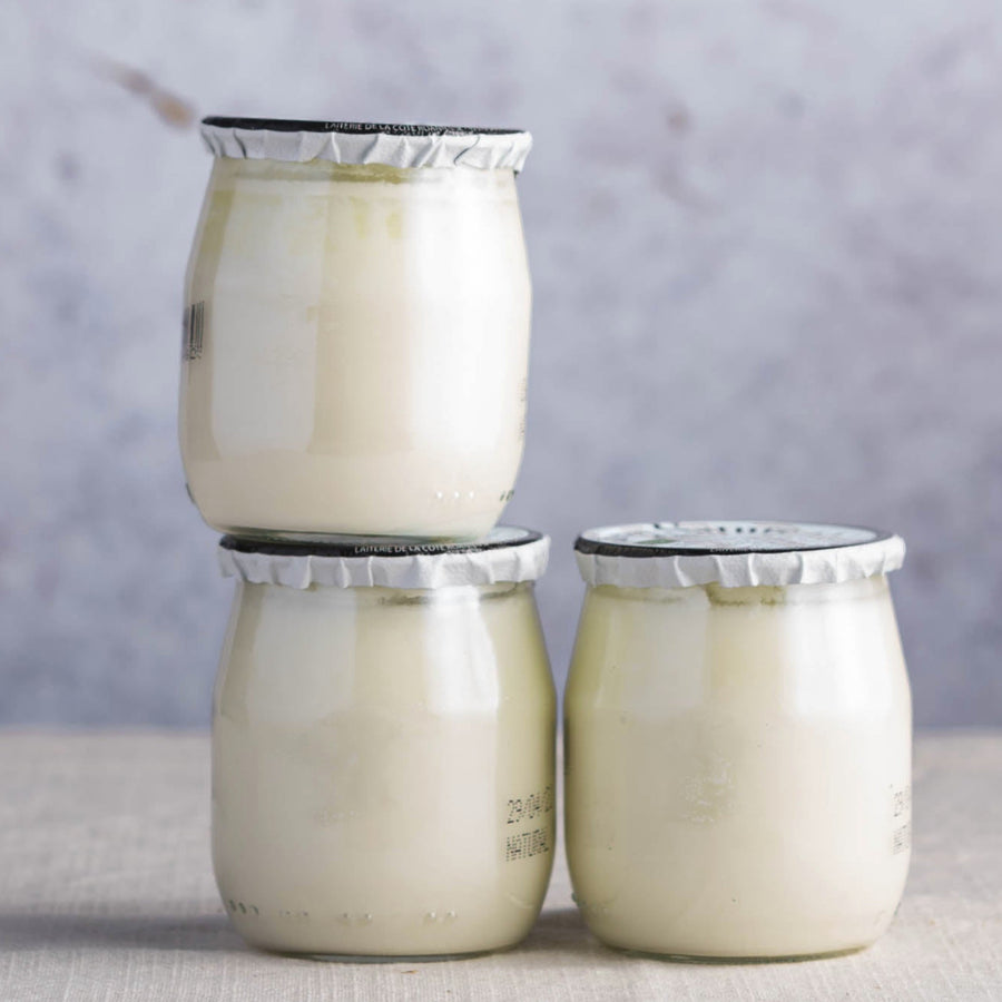 Small glass jars of organic French natural yoghurt.
