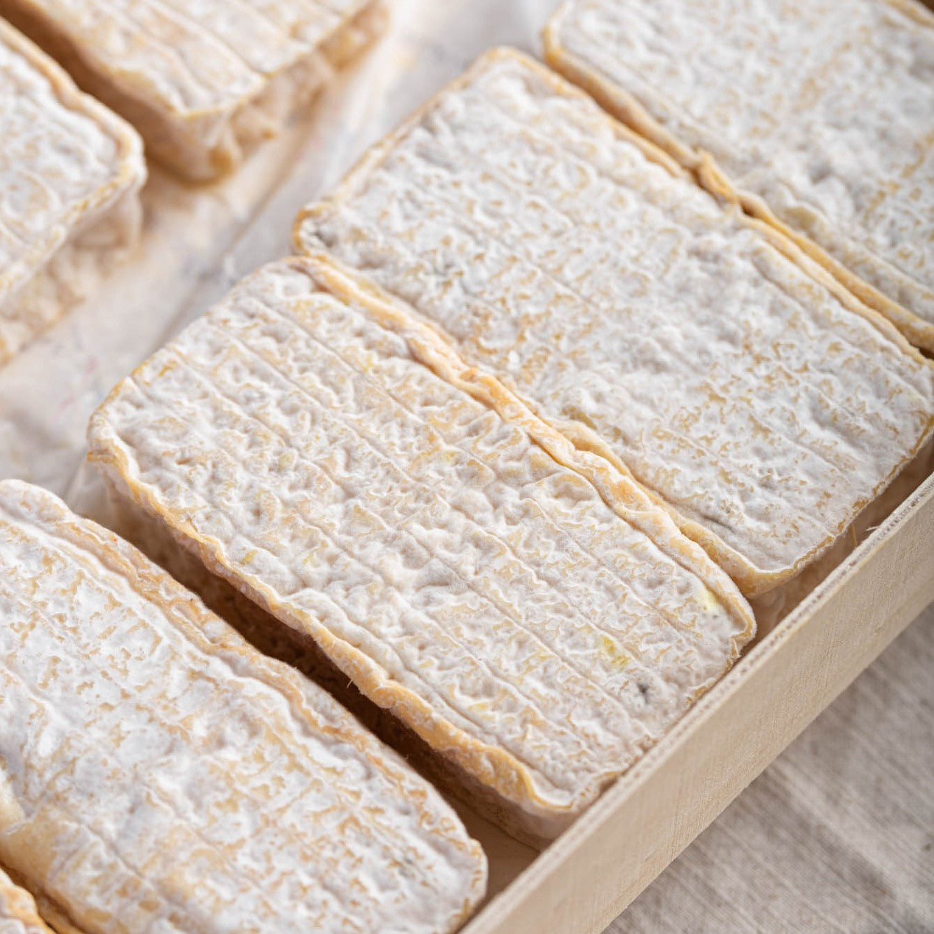 Whole Lingot des Causses goat's cheeses in a wooden box.