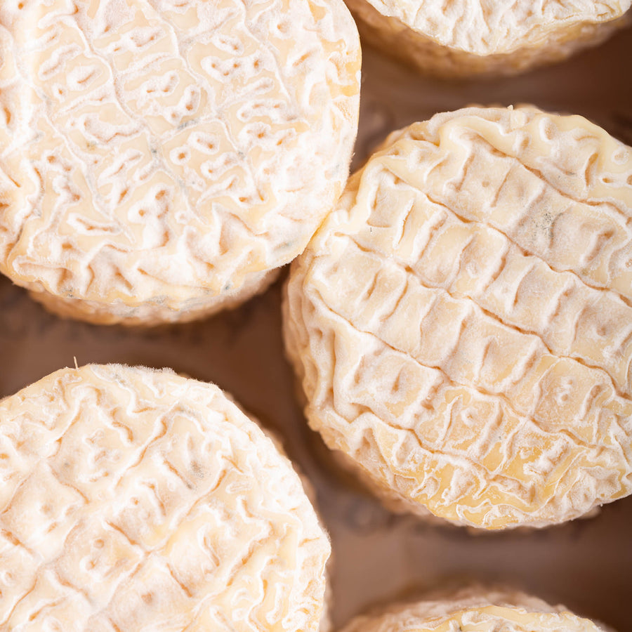 A tray of Petit Blaja goat's milk cheeses.