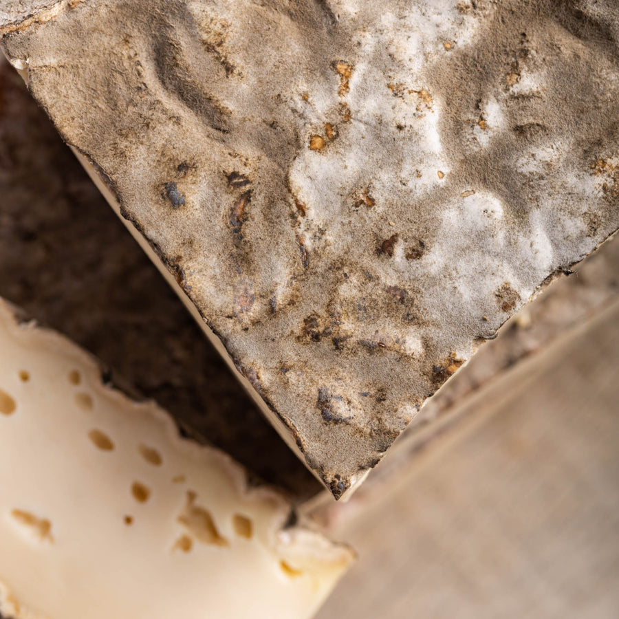 Close up of the textured, mottled greeny-grey rind of St. Nectaire cheese.