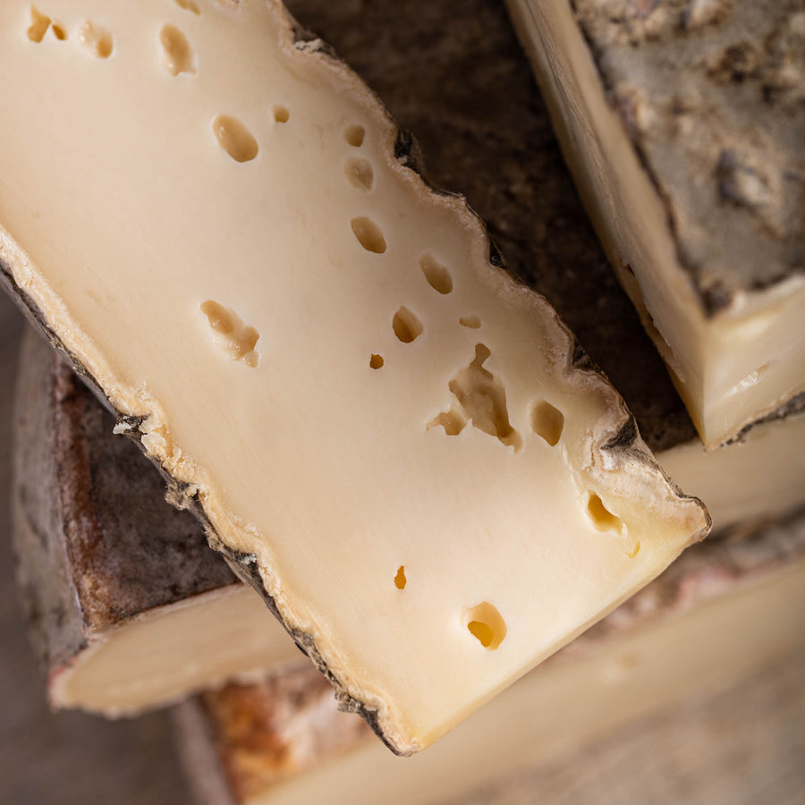 A close up of a cut piece of St. Nectaire cheese showing the delicate holes in the paste.