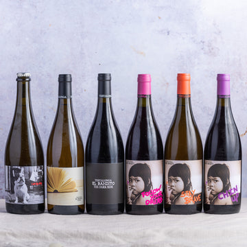 A 6-bottle selection of Testalonga South African wines.